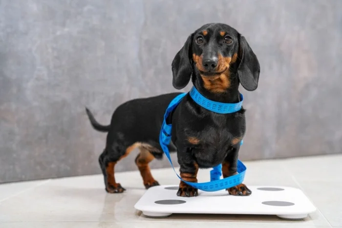 Masarik / Shutterstock | Portal EdiCase Masarik / Shutterstock | Portal EdiCase