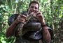 Cobra de oito metros de comprimento é encontrada na Amazônia