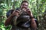 Cobra de oito metros de comprimento é encontrada na Amazônia. Sucuri foi registrada por um grupo de pesquisadores associados à Universidade de Queensland, na Austrália<!-- NICAID(15686499) -->