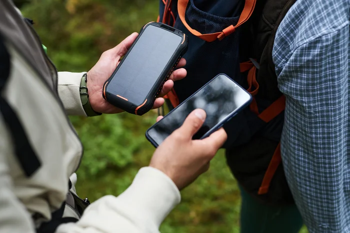 Reprodução / adobe.stock.com