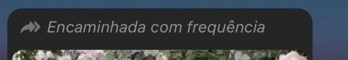 WhatsApp / Reprodução WhatsApp / Reprodução