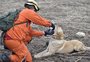 A parceria entre bombeiros e cães na busca por desaparecidos no Vale do Taquari