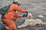 Cães da Companhia Especial de Busca e Salvamento do Corpo de Bombeiros do RS em MUÇUM.<!-- NICAID(15536859) -->
