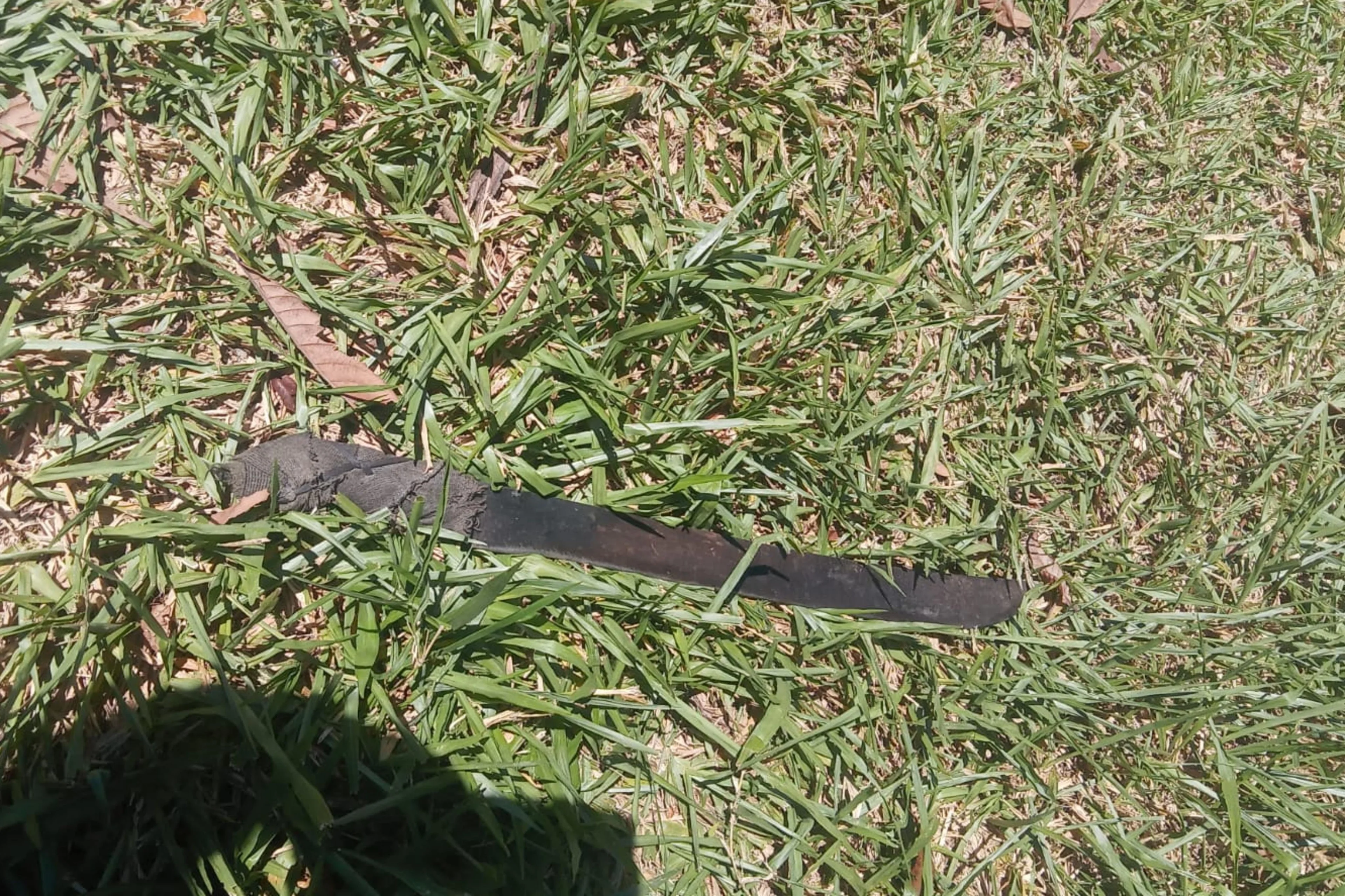 Arquivo Pessoal/Divulgação