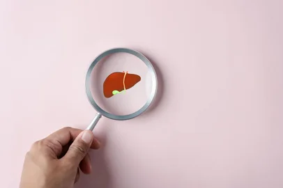 Magnifier focus to liver organ icon, hepatitis vaccination, liver cancer treatment. Health checkup and liver cancer concept.Fígado, lupa. Foto: Kiattisak / stock.adobe.comIndexador: Magnifier focus to liver organ iFonte: 611615927Fotógrafo: Magnifier focus to liver organ i<!-- NICAID(15732988) -->
