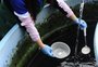 Número de casos de dengue na Serra volta a gerar alerta 