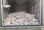 Duas toneladas de pescado impróprio para consumo são apreendidas em Pelotas; responsável é preso