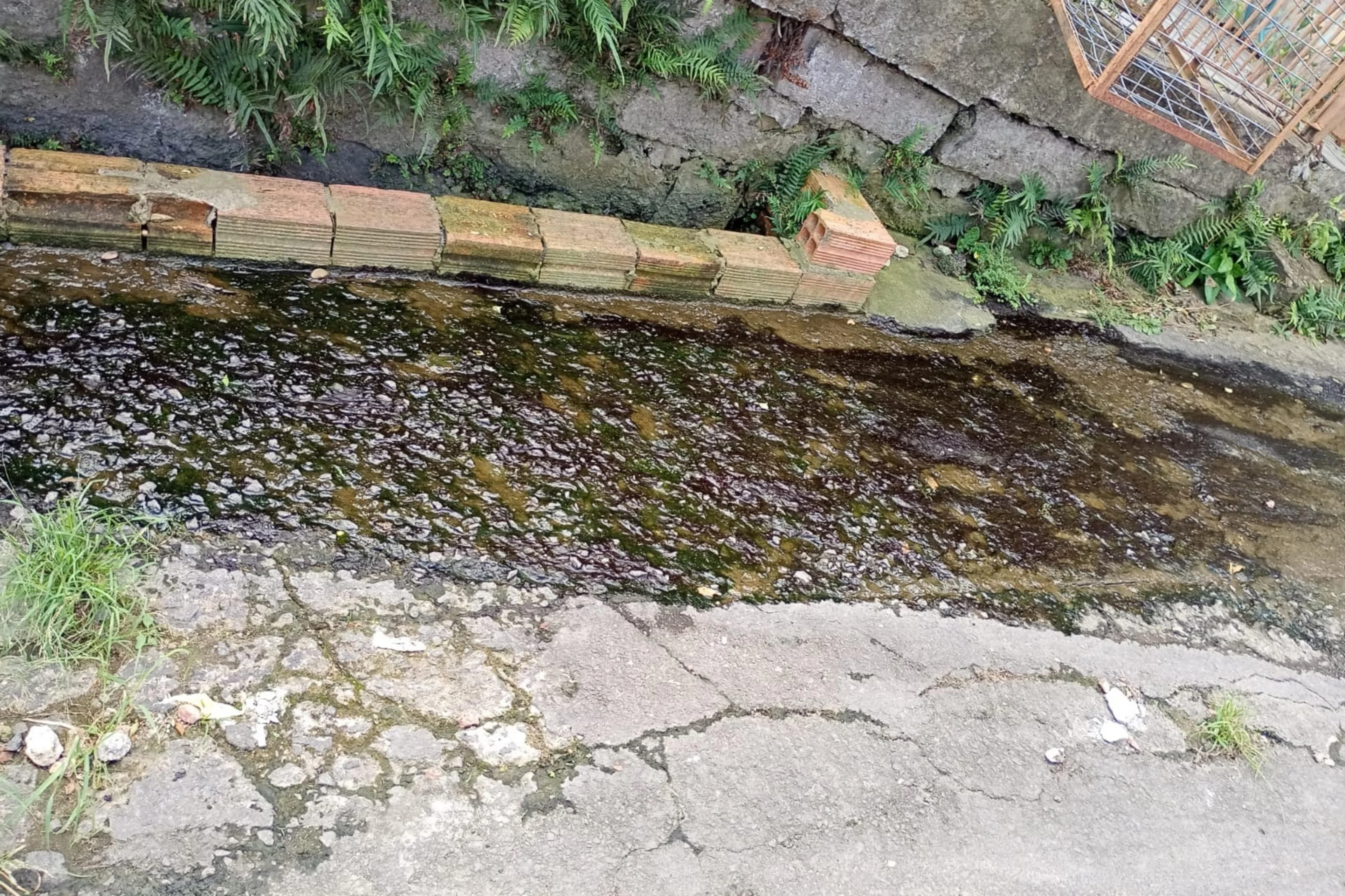 Luiz Afonso Oliveira da Rocha/Arquivo pessoal