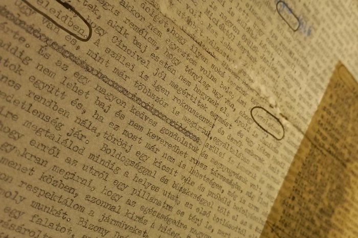 Letícia Bertagna / Divulgação