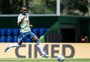 Os bastidores e os valores da negociação entre Grêmio e Botafogo por Nathan Fernandes 