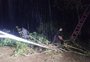 Temporal deixa desalojados e danos em cerca de cem casas em Ernestina