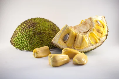 Ripe Jackfruit isolated with jackfruit pods on white backgroundFonte: 237049575<!-- NICAID(15943352) -->