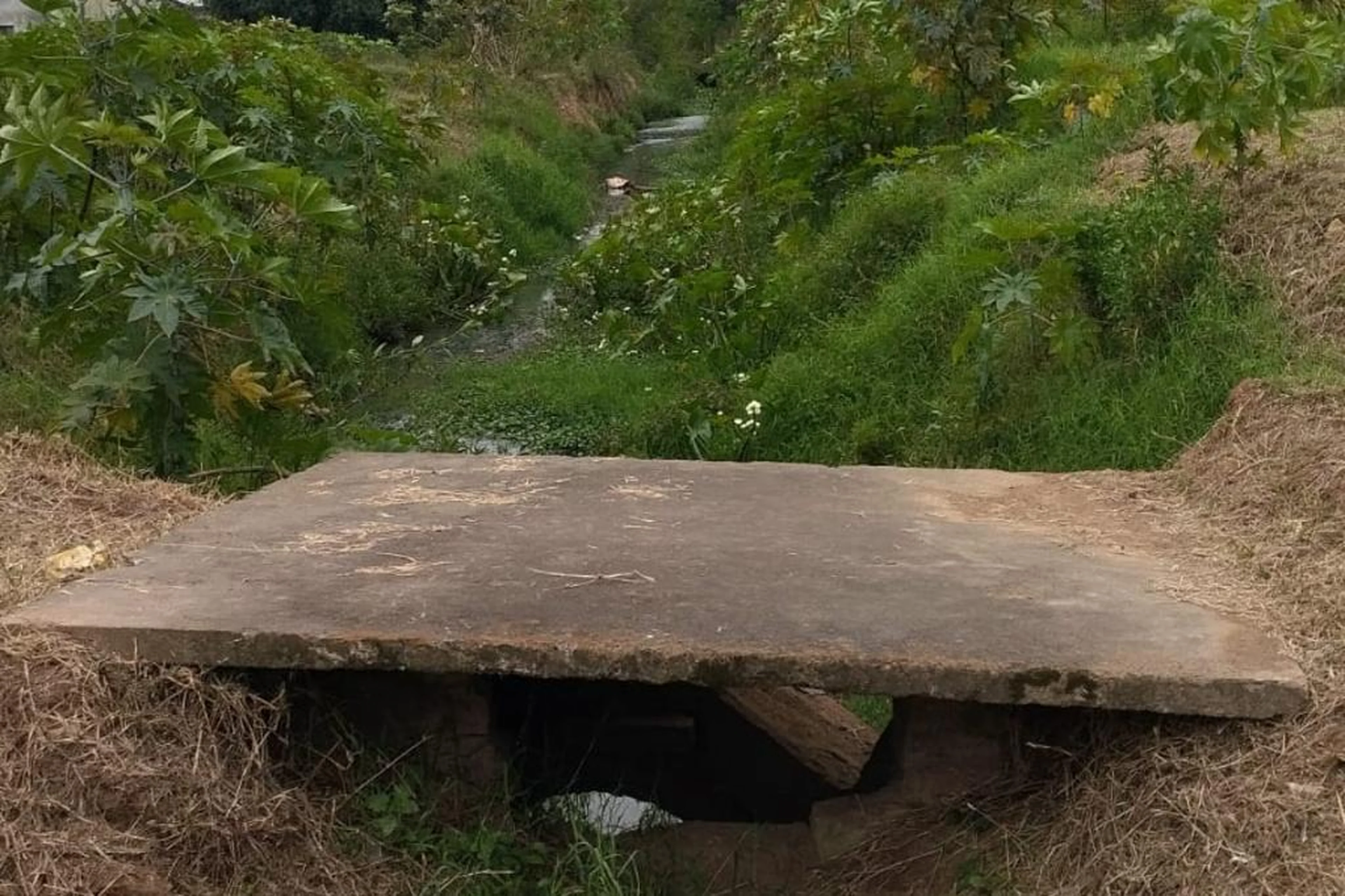 Arquivo pessoal/Arquivo Pessoal