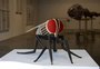 Exposição gratuita em Porto Alegre tem mosca gigante, olho mágico e ilusão de ótica 