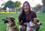 Cachorro deixado amarrado em portão de creche para pets na zona sul de Porto Alegre é adotado