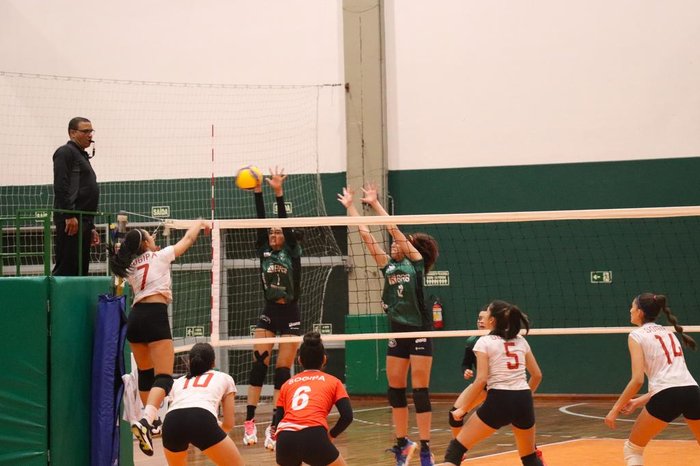 Marcelo Rocha / Divulgação