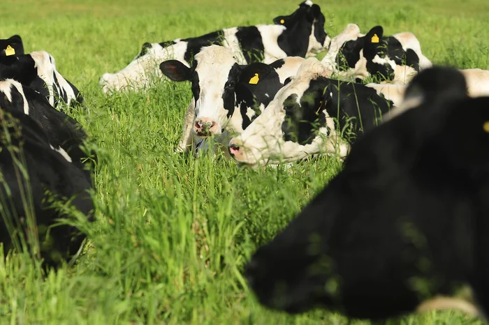 Bruno Todeschini / Agencia RBS