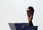 Veja a tabela da Copa do Mundo 2026