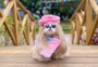 Seis dicas para medir seu cachorro e escolher a roupa ideal