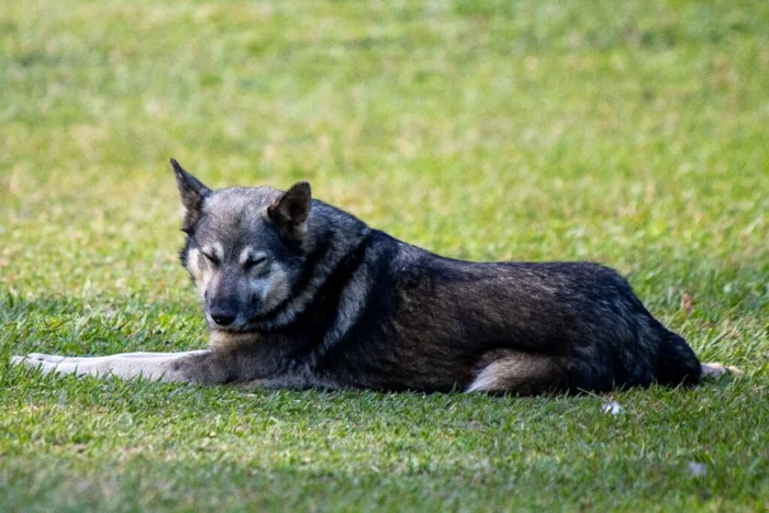 fvolu / Shutterstock | Portal EdiCase