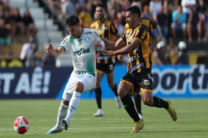 Raphael Veiga, Palmeiras, futebol