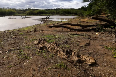 PORTO ALEGRE, RS, BRASIL, 29.01.2025: Trecho do rio Gravataí proximo a ponte na BR-118 apresenta sinais de estiagem. Foto: Camila Hermes/Agencia RBS<!-- NICAID(15964382) -->
