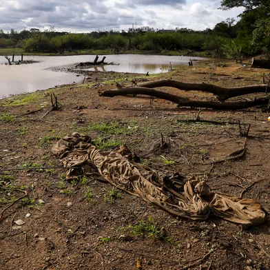 PORTO ALEGRE, RS, BRASIL, 29.01.2025: Trecho do rio Gravataí proximo a ponte na BR-118 apresenta sinais de estiagem. Foto: Camila Hermes/Agencia RBS<!-- NICAID(15964382) -->
