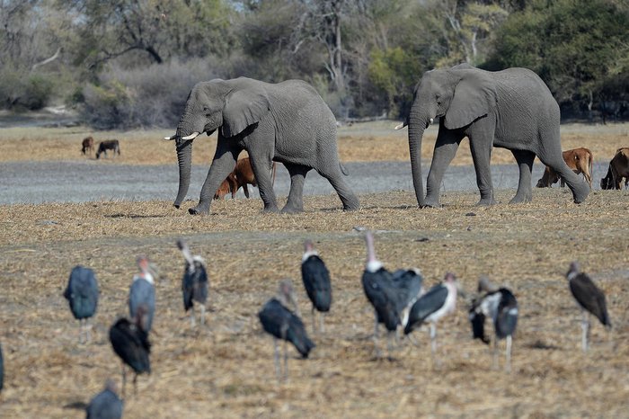 MONIRUL BHUIYAN / AFP