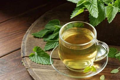 Lemon balm herbal tea in glass cup with fresh plant close, melissa officinalis herb is used for sleep, as digestive, anxiety, stress remedy, closeup, naturopathy and natural medicine conceptLemon balm herbal tea in glass cup with fresh plant close, melissa officinalis herb is used for sleep, as digestive, anxiety, stress remedy, closeup, naturopathy and natural medicine conceptIndexador: Katsiaryna ShpihelFonte: 464100936<!-- NICAID(15543688) -->