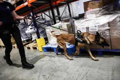 PORTO ALEGRE, RS, BRASIL, 13-04-2026: Serviço de fiscalização da Receita Federal de cargas e bagagens no Aeroporto Internacional Salado Filho. Além dos equipamentos de Raio X o principal recurso para contrar intorpecentes é a equipe K9 de fiscalização com cães. Equipe é composta por duas cadelas e três agentes. Foto: Jonathan Heckler/Agência RBS<!-- NICAID(16264797) -->