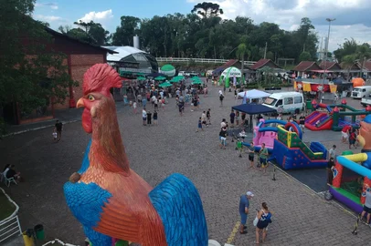 Com expectativa de 30 mil visitantes, Mostra Flores se inicia neste sábado <!-- NICAID(16241742) -->