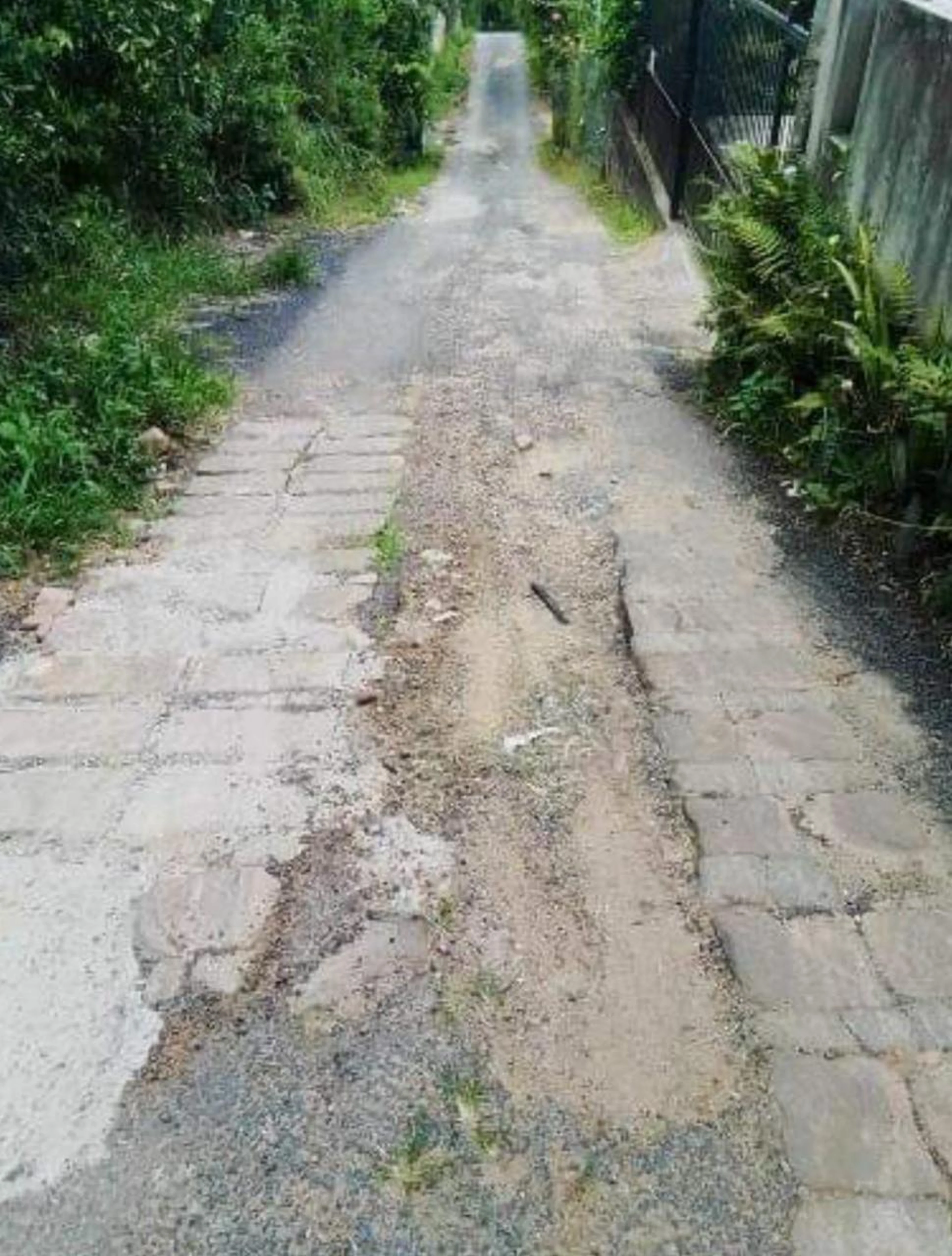 Reprodução/Arquivo Pessoal
