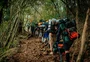 Prefeitura de Passo Fundo sanciona lei que institui "Dia dos Legendários" no calendário oficial

