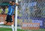 VÍDEO: os melhores momentos de Grêmio x Botafogo