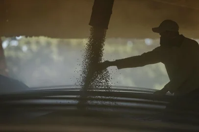 CIRÍACO, RS, BRASIL, 12-09-2017: Matéria para o caderno Campo e Lavoura Especial, sobre a produção de Biodiesel no estado. Na foto, armazenamento de soja do produtor Valdomiro Fernandes Vieira, de Ciríaco, que vende a sua produção para a BSBios (FOTO FÉLIX ZUCCO/AGÊNCIA RBS, Campo e Lavoura).<!-- NICAID(13145847) -->