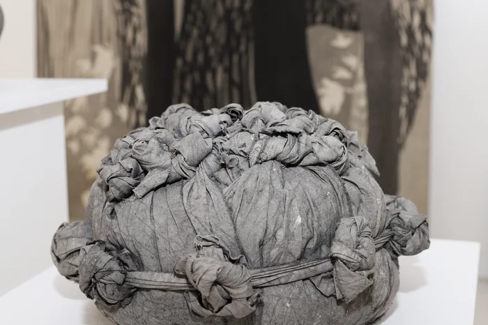 Ulisses Castro / Agencia RBS Ulisses Castro / Agencia RBS