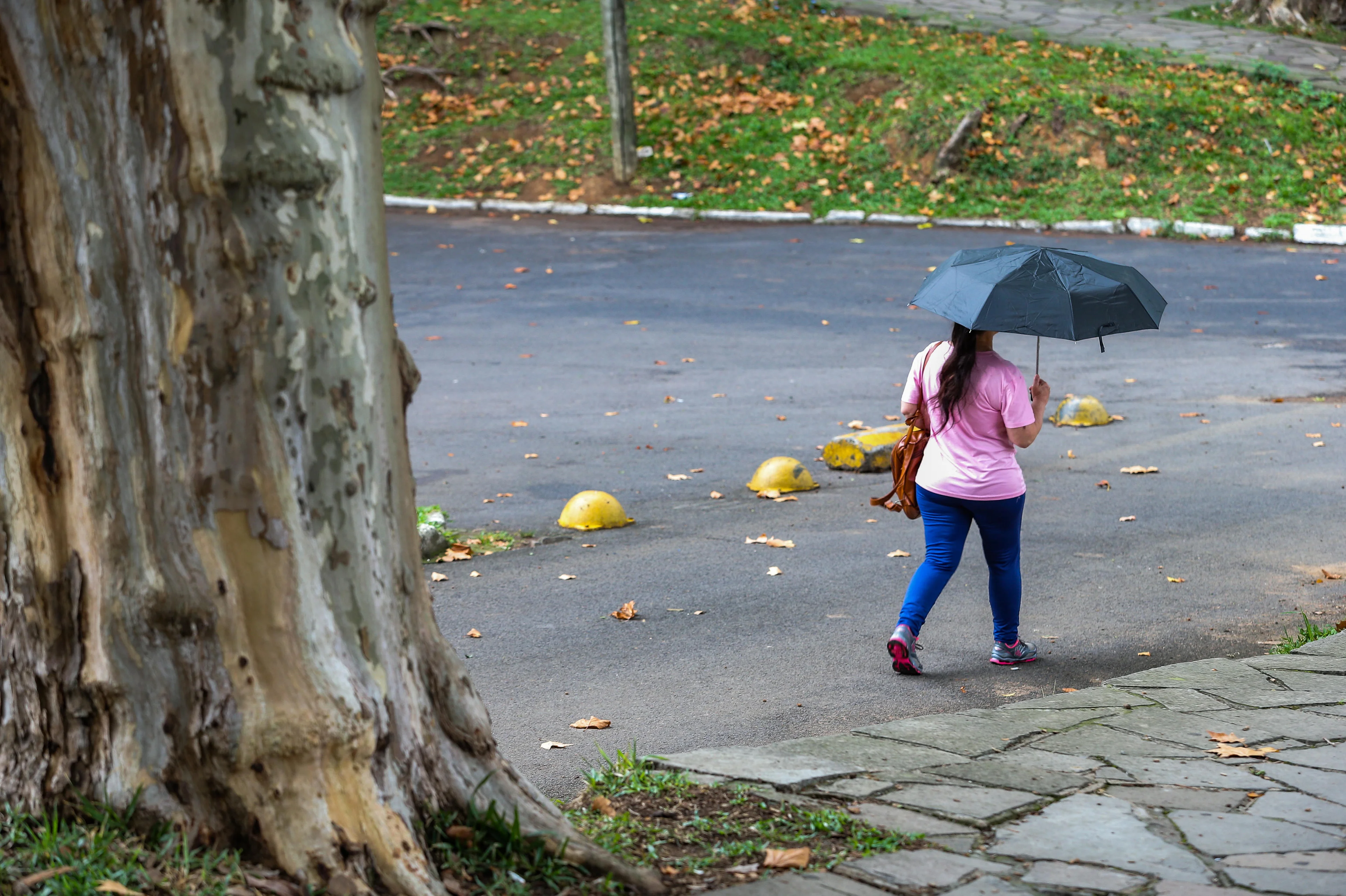 Neimar De Cesero/Agencia RBS