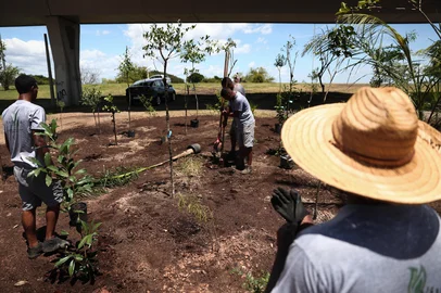 PORTO ALEGRE, RS, BRASIL, 16-12-2025: 800 mudas de árvores nativas são plantadas no largo do viaduto Abdias do Nascimento no modelo de Florestas de bolso. A iniciativa visa criar ilhas verdes na cidade. Foto: Jonathan Heckler/Agência RBS<!-- NICAID(16187588) -->
