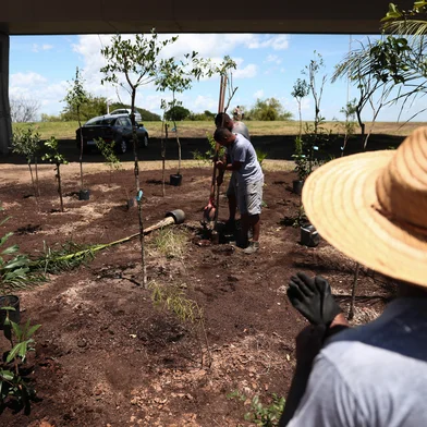 PORTO ALEGRE, RS, BRASIL, 16-12-2025: 800 mudas de árvores nativas são plantadas no largo do viaduto Abdias do Nascimento no modelo de Florestas de bolso. A iniciativa visa criar ilhas verdes na cidade. Foto: Jonathan Heckler/Agência RBS<!-- NICAID(16187588) -->
