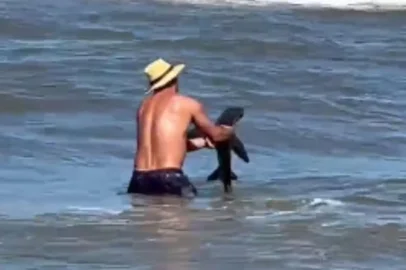 Banhistas encontram filhote de tubarão na beira da praia de Imbé<!-- NICAID(15988765) -->