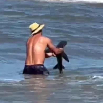 Banhistas encontram filhote de tubarão na beira da praia de Imbé<!-- NICAID(15988765) -->