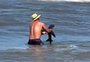 Banhistas encontram filhote de tubarão na beira da praia de Imbé; veja vídeo