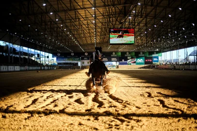 ESTEIO, RS, BRASIL - 2023.08.27 - Freio de Ouro 2023.  Guanabara Salero (Macho) e Belle Porcelana (Fêmea) foram os campeões da edição. (Foto: André Ávila/ Agência RBS)Indexador: Andre Avila<!-- NICAID(15523434) -->