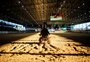 A grande vitória que vem da pista do Freio de Ouro neste ano