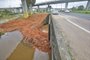 22/11/2023 - PORTO ALEGRE, RS, BRASIL - Situação da Capital, após cheia do Guaíba, onde os níveis subiram após as fortes chuvas que atingiram o Estado. FOTO: LAURO ALVES, AGÊNCIA RBS<!-- NICAID(15605126) -->