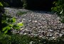 Instalação de ecobarreiras em canais pode evitar que problemas como o do Rio Gravataí se repitam, avalia presidente da Fepam