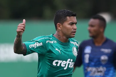 dudu - palmeiras