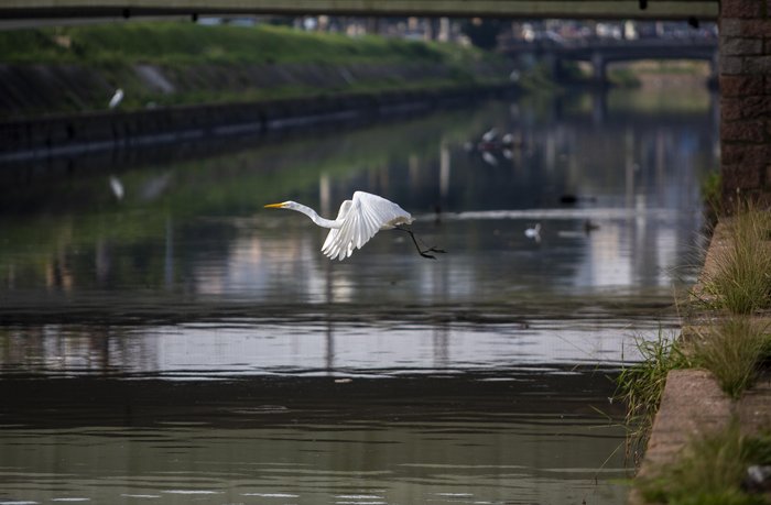 Jefferson Botega / Agencia RBS