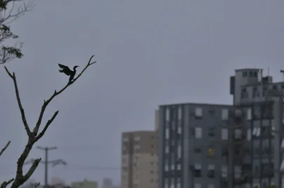 climatempo - porto alegre