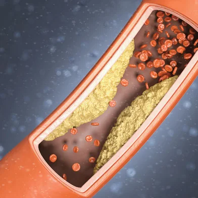 Arte para capa do caderno Vida, em 06/08/2022 ONLINE<!-- NICAID(15167269) -->